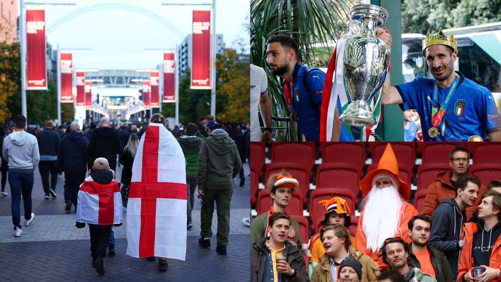 體質問題可 體質問題可